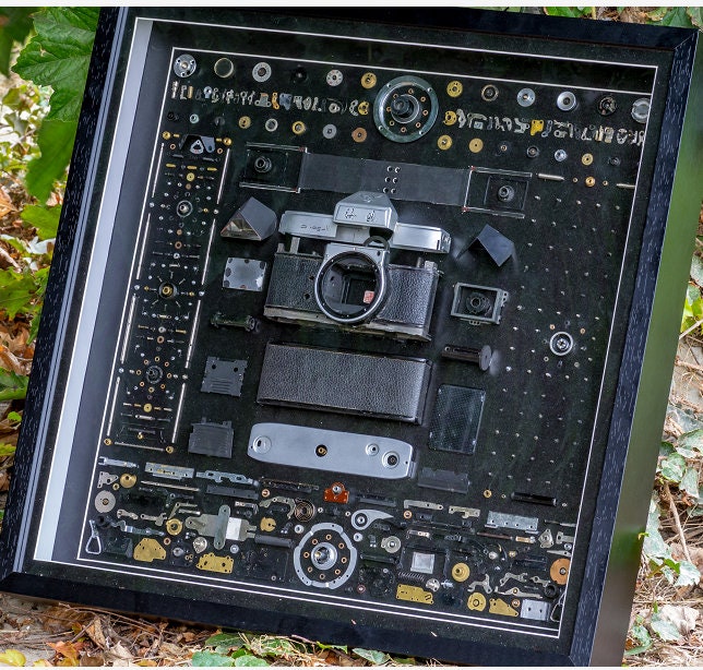 Disassembled Canon Pentax Seagull Camera Art: Framed Teardown Parts, Modern Wall Decor for Home Office