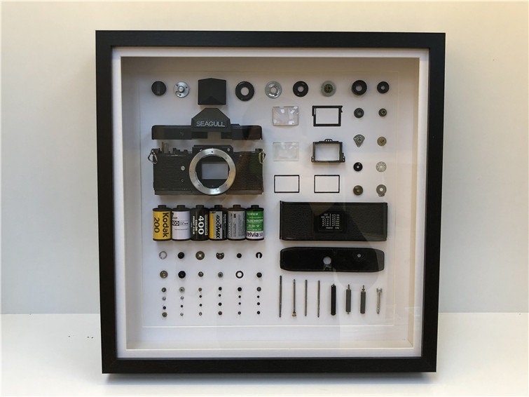 Disassembled Canon Pentax Seagull Camera Art: Framed Teardown Parts, Modern Wall Decor for Home Office